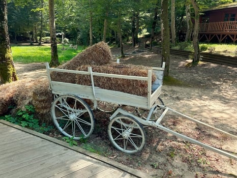 Small bales of dry hay .Harvesting hay for farm animals. photo