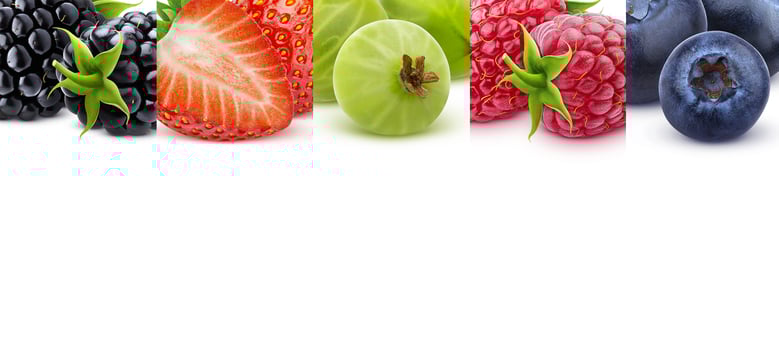 Berries texture with copy space, border of berry, panoramic photo