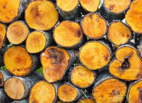 Stack of firewood prepared for winter. photo