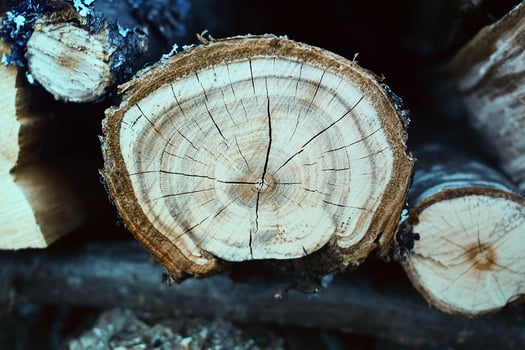 Chopped firewood on a stack photo