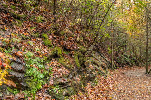 Autumn hike in the mountains photo