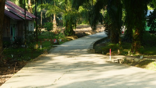 photography of outdoor cement road with trees around photo
