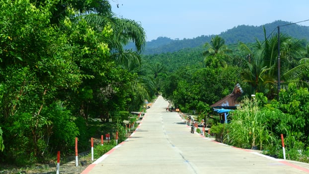 photography of outdoor cement road with trees around photo