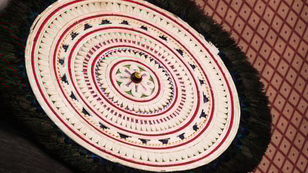 Ornamental peacock feather fan used in Kerala temple festivals photo