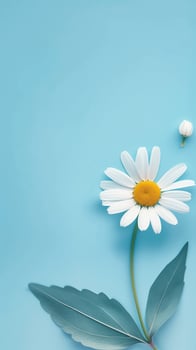 Daisy flower with leaves beauty blooming petal story purple background photo