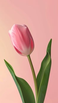 Pink tulip leaf organic nature environment on pink story background photo