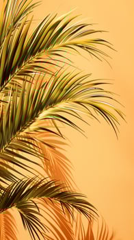 Palm coconut green leaf organic nature environment on solid orange story background photo