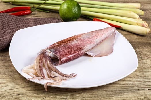 Raw fresh squid for cooking photo