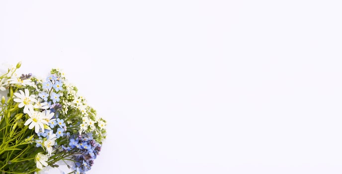 Wild white and blue forget-me-not plant flowers on soft paper background. Copy space. Floral card. photo