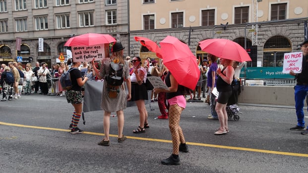 Stockholm, Sweden, August 3, 2024. Gay pride. A glimpse of the parade. photo