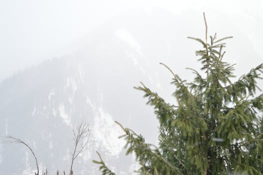 Mountains from Kasol Village in Himachal Pradesh photo