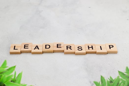 Top view of Leadership word on wooden cube letter block on white background. Business concept photo