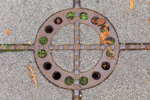 Circular rusty manhole cover with plants, concrete sidewalk, autumn leaves, urban detail concept photo