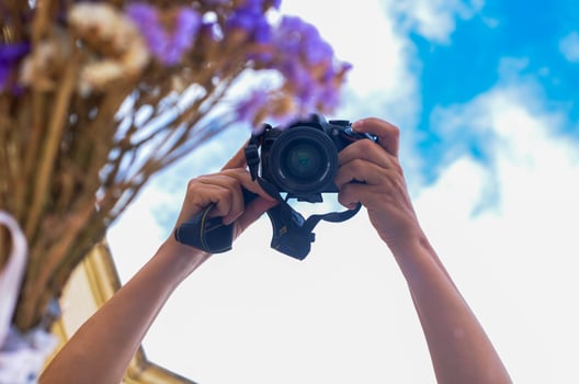 Background bannera snail is on the backg round blue sky with purple flowers ,person taking pictures photo