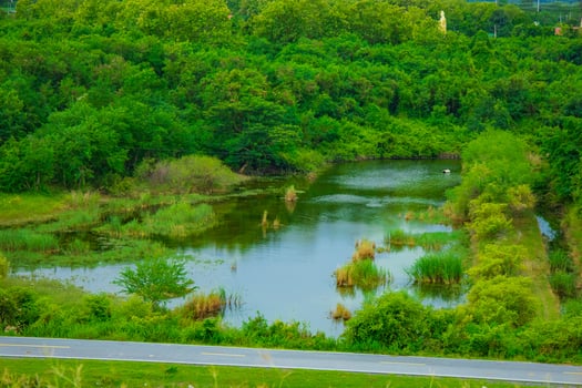A landscape featuring with a gentle river flowing through the forest under a bright sky. photo