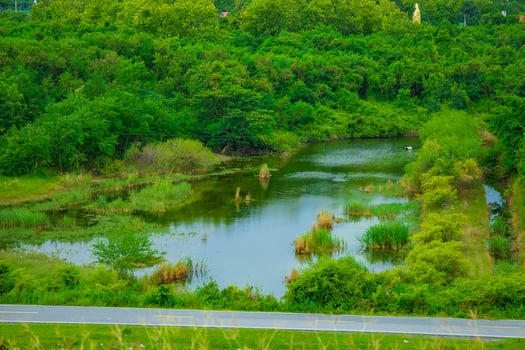A serene landscape featuring the forest under a bright sky. photo