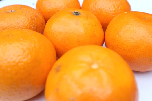 Fresh orange fruit photo