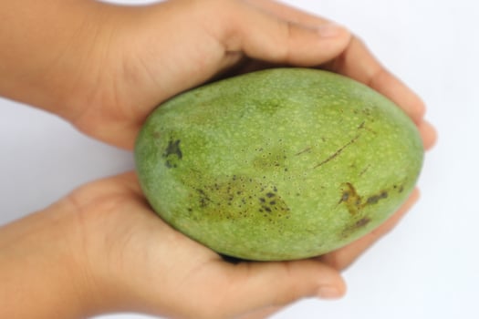 Fresh green mango tropical fruit photo