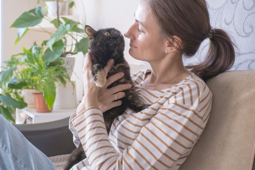Portrait of a young woman holding a cute black ginger cat. The female hugs her cute kitty with long hair. close-up. Adorable pet concept. photo