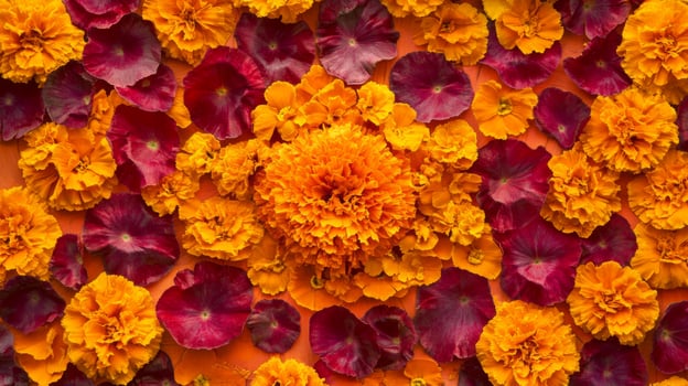 A Close-Up of Orange and Burgundy Flowers photo