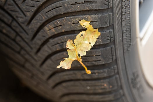 leaf is laying on the tire of a car photo
