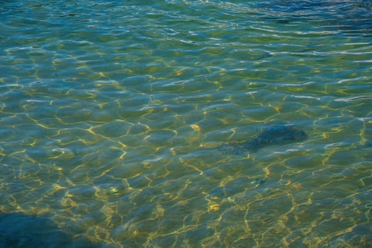 Tropical beach water background. Sunset water reflect ripples at sun light. Abstract golden reflection on water sunset photo