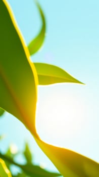 Abstract Green Leaf against a Light Blue Sky photo