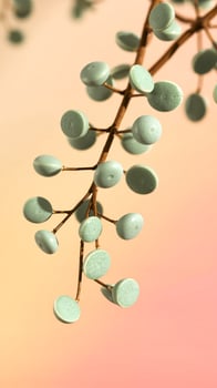 Branch with Green Round Fruits on a Peach Background photo