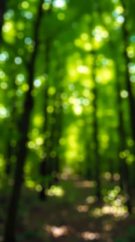Abstract Green Bokeh Background photo