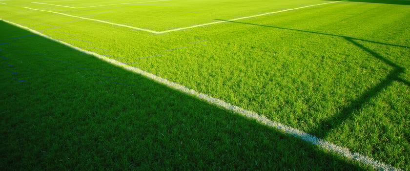 White Lines on Green Grass photo