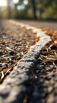 Close up of a white line on a gravel road with pine needles photo