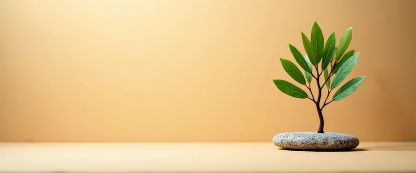 Minimalist Green Plant on a Stone in a Beige Setting photo