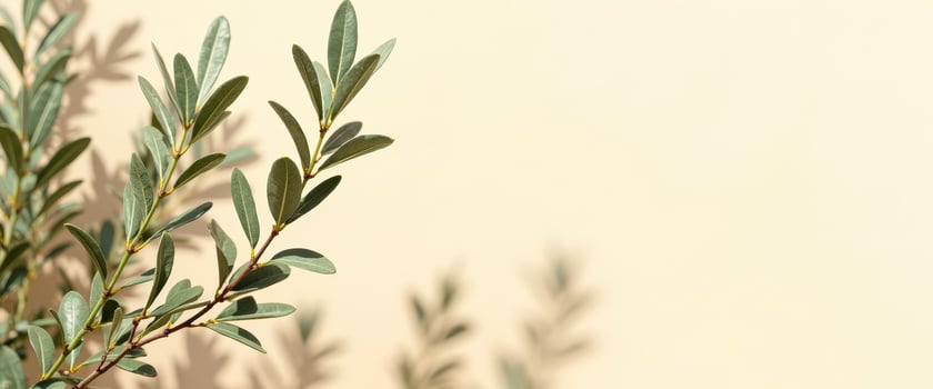 Green Leaves Against a Cream Background photo