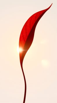 Red Leaf Silhouette Against a Softly Lit Sky photo
