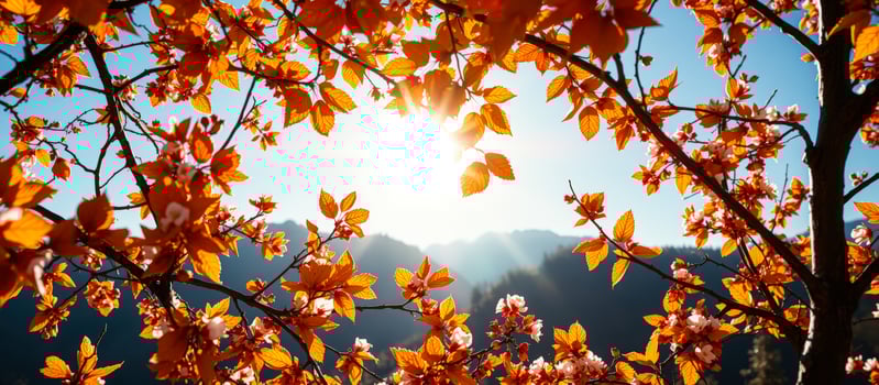 Orange leaves and white flowers against a blue sky photo