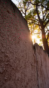 Sunlight through the Trees photo