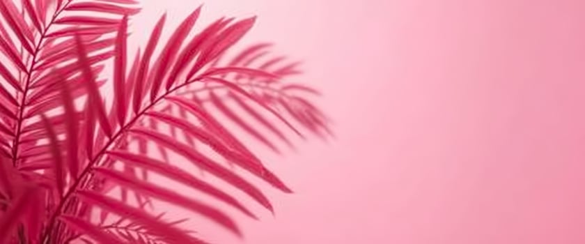 Pink Palm Leaves on Pink Background photo
