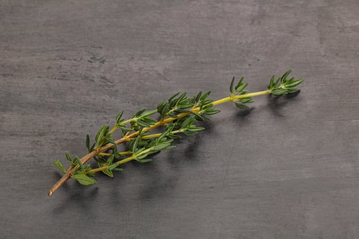 Aroma seasoning thyme stem with leaves photo