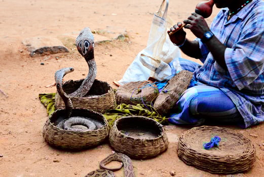 Sri Lankan snake charmer playing a musical instrumen. photo
