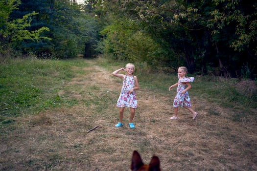 little girls sisters play with german shepherd dog during easter picnic in the garden photo