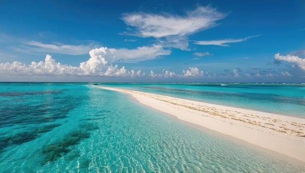 beautiful and calm natural beach views photo
