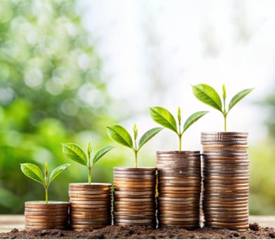 Money growing on stacks of coins with green background photo