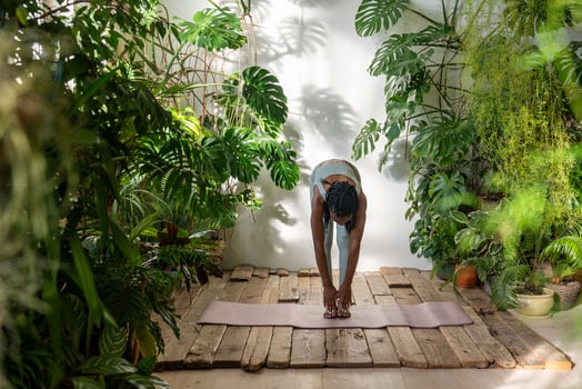 Concentrated sported black woman stretching do sports fitness yoga among green houseplants at home. photo