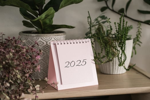 Calendar 2025 and house plants on a shelf photo
