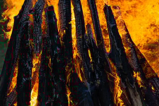 Beautiful fire flames on a campfire photo