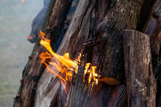 Beautiful fire flames on a campfire photo