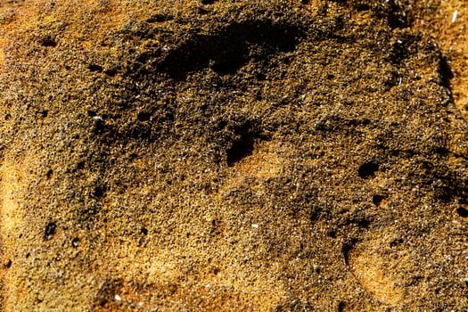 Plastic abstract texture. Surface grunge backdrop. Dirty effect pattern. Material background. photo