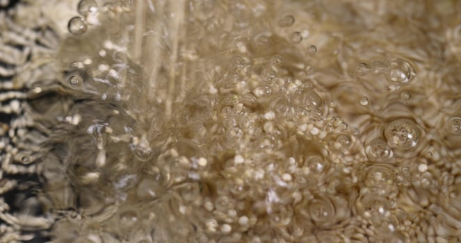 large amount of quinoa porridge floats in clean water photo