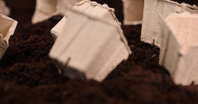 square containers for seedlings in agriculture photo