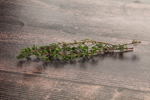 Thyme - aromatic seasoning herbal plant photo